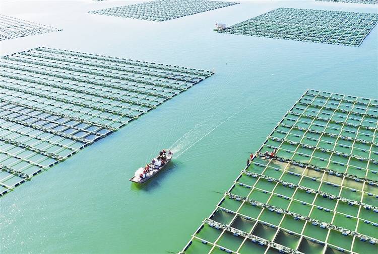 工廠化循環(huán)水系統(tǒng)調(diào)制海水，內(nèi)陸城市也能養(yǎng)出大白蝦！